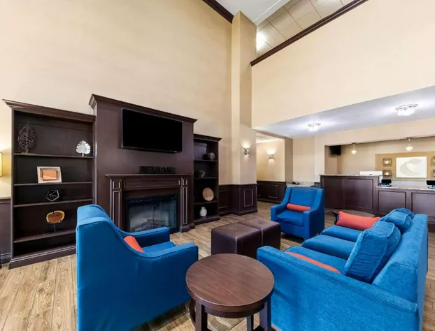 Comfort Inn & Suites Near Lake Lewisville hotel detail image 4