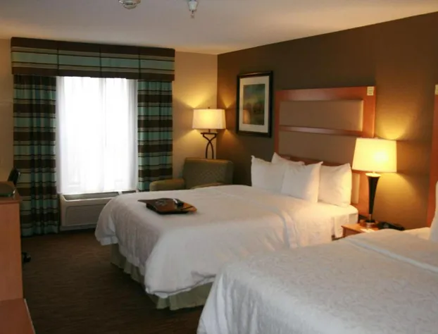 Hampton Inn & Suites Kalamazoo - Oshtemo hotel detail image 3