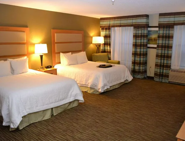 Hampton Inn & Suites Kalamazoo - Oshtemo hotel detail image 4