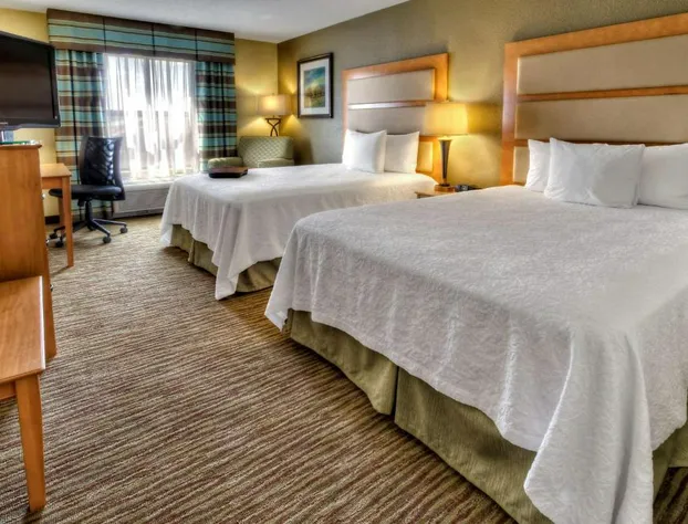 Hampton Inn & Suites Kalamazoo - Oshtemo hotel detail image 4