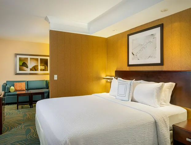 SpringHill Suites by Marriott Modesto hotel detail image 3