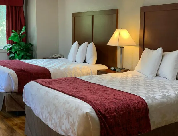 Red Carpet Inn Medford hotel detail image 4