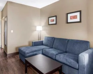 Comfort Suites Odessa near University hotel detail image 4