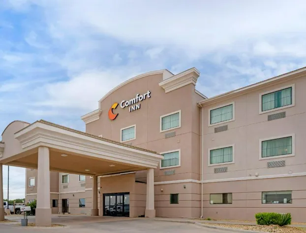 Comfort Inn I-20 Midland Stanton hotel detail image 3