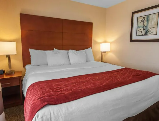 Comfort Inn & Suites Near Fallon Naval Air Station hotel detail image 3