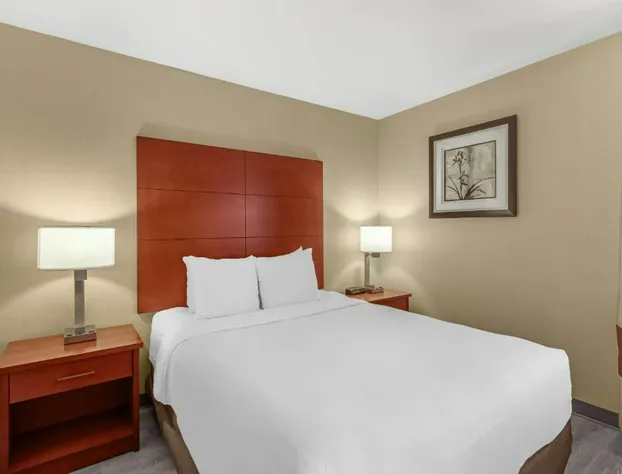 Comfort Inn & Suites Near Fallon Naval Air Station hotel detail image 4