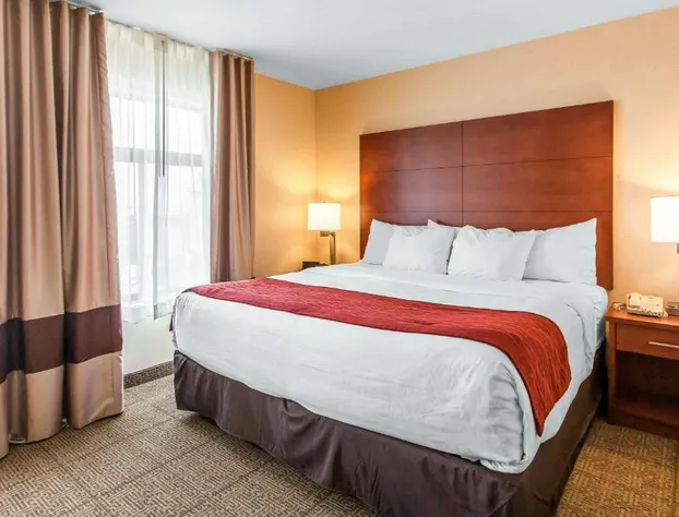 Comfort Inn & Suites Near Fallon Naval Air Station hotel detail image 1