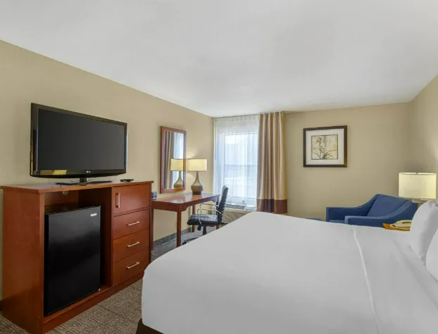 Comfort Inn & Suites Near Fallon Naval Air Station hotel detail image 3