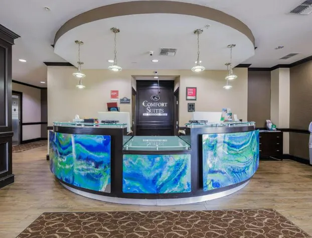 Comfort Suites Lawton Near Fort Sill hotel detail image 2