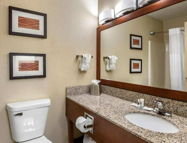 Comfort Inn Moline - Quad Cities hotel detail image 3
