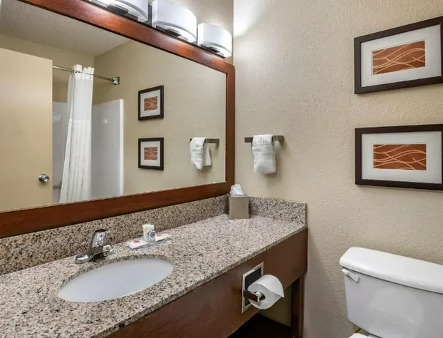 Comfort Inn Moline - Quad Cities hotel detail image 4