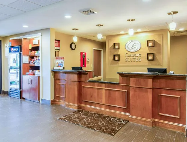 Comfort Suites Wytheville hotel detail image 4