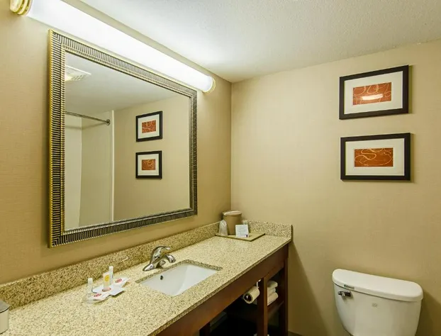 Comfort Suites Wytheville near Conference Center hotel detail image 2