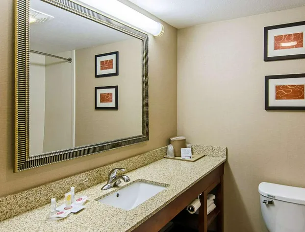 Comfort Suites Wytheville near Conference Center hotel detail image 3