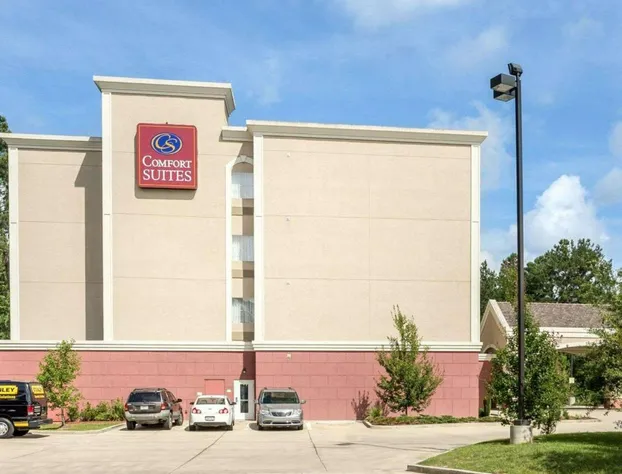 Comfort Suites Mandeville - Covington hotel detail image 3