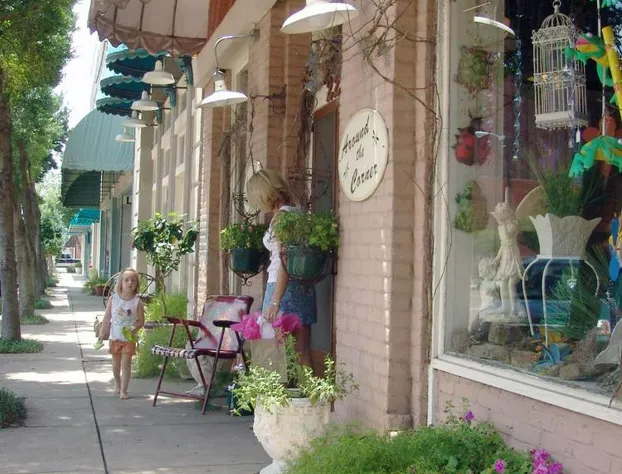 Hilton Garden Inn Meridian hotel detail image 3