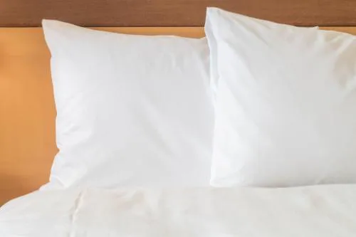 Holiday Inn Express Bloomsburg by IHG hotel detail image 1