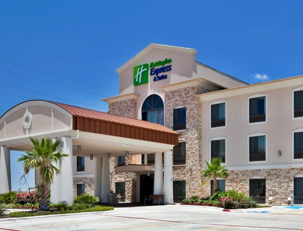 Holiday Inn Express & Suites Austin NE - Hutto by IHG hotel detail image 1