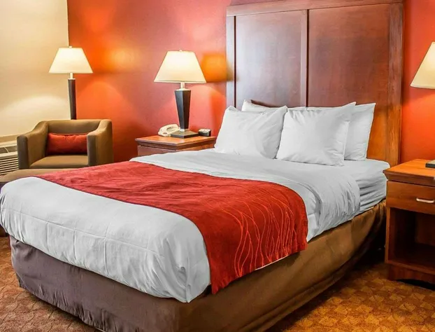 Quality Inn hotel detail image 4