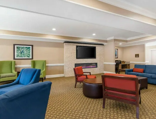 Comfort Inn & Suites hotel detail image 4