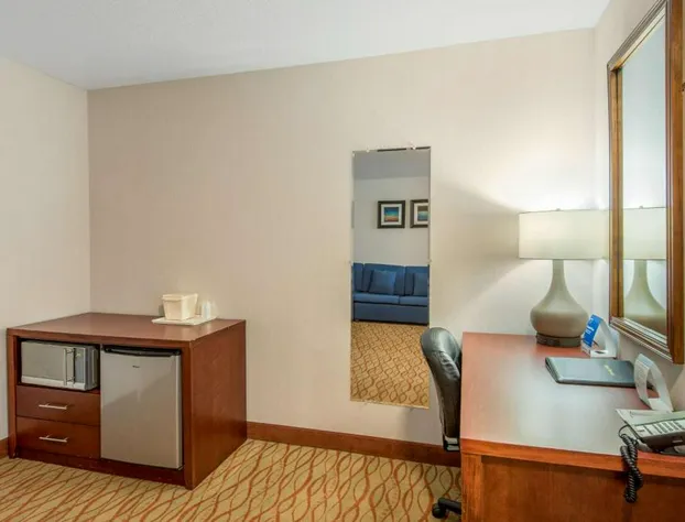 Comfort Inn Mount Shasta Area hotel detail image 4