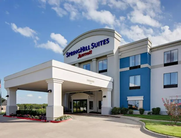 SpringHill Suites by Marriott Ardmore hotel detail image 1