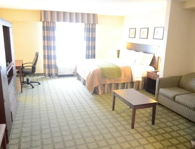 Comfort Inn & Suites Southwest Fwy at Westpark hotel detail image 2