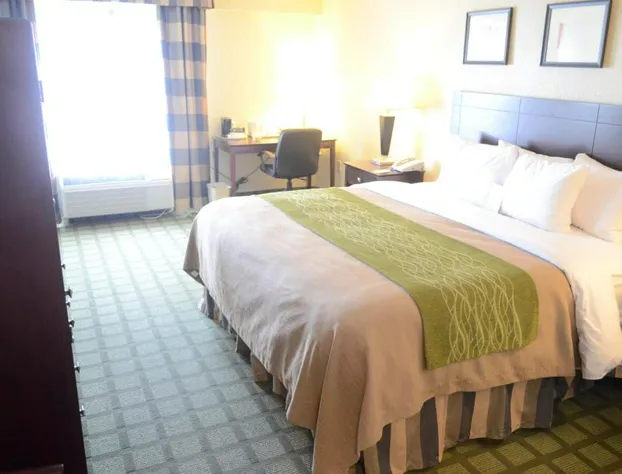 Comfort Inn & Suites Southwest Fwy at Westpark hotel detail image 3