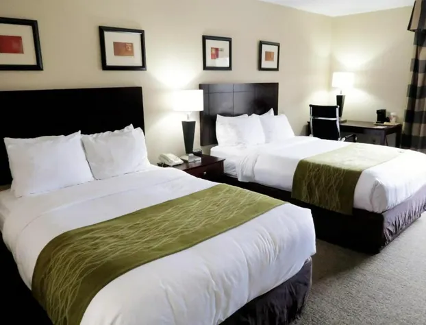 Comfort Inn & Suites Southwest Fwy at Westpark hotel detail image 4