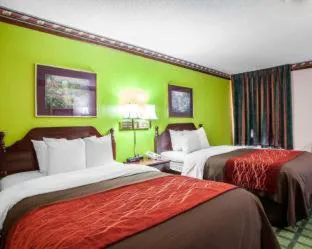 Quality Inn Arcola hotel detail image 4