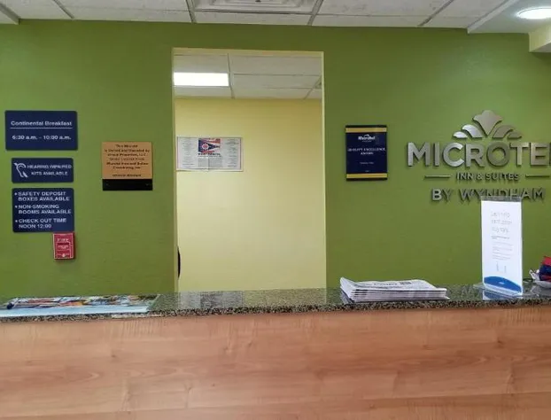Microtel Inn & Suites by Wyndham Delphos hotel detail image 3