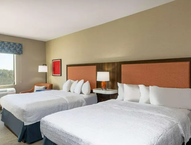 Hampton Inn & Suites Woodward hotel detail image 3