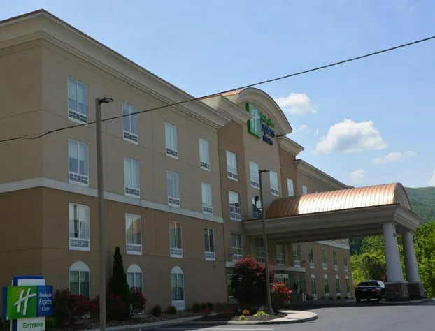 Holiday Inn Express & Suites, Caryville by IHG hotel detail image 1