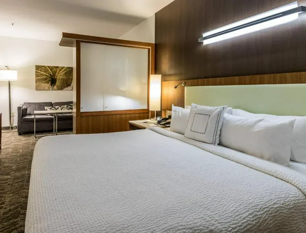 Springhill Suites Statesboro University Area hotel detail image 4