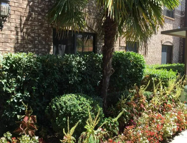 Comfort Suites Marshall hotel detail image 2