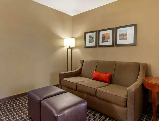 Comfort Suites Delavan - Lake Geneva Area hotel detail image 4