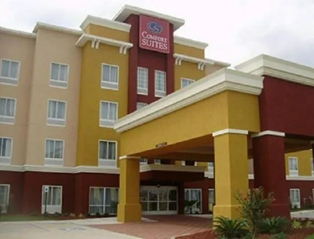 Comfort Suites near Tanger Outlet Mall hotel detail image 1
