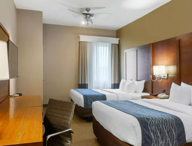 Comfort Inn & Suites Amarillo East hotel detail image 4