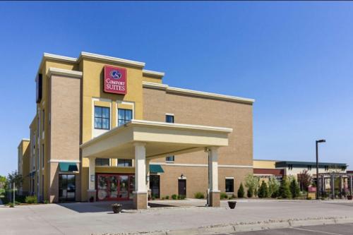 Comfort Suites and Conference Center hotel detail image 1