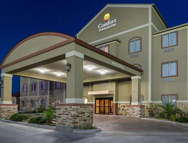 Comfort Inn & Suites Monahans I-20 hotel detail image 2