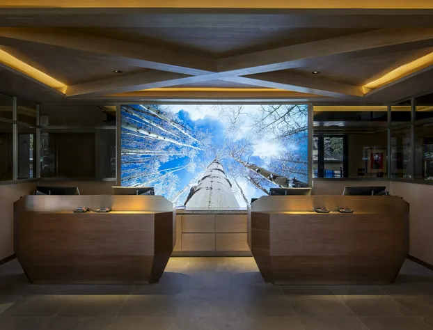 Limelight Hotel Aspen hotel detail image 2