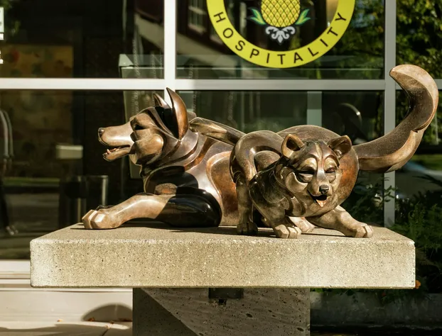 Staypineapple, Watertown Hotel, University District Seattle hotel detail image 2