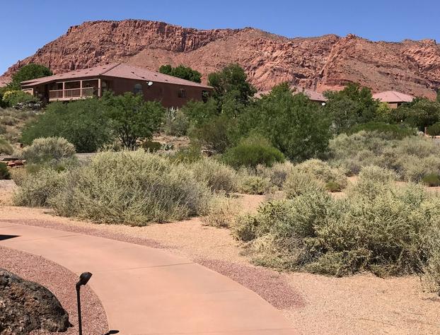 Red Mountain Resort hotel detail image 3