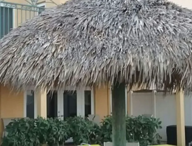 Ebb Tide Resort Oceanfront hotel detail image 1