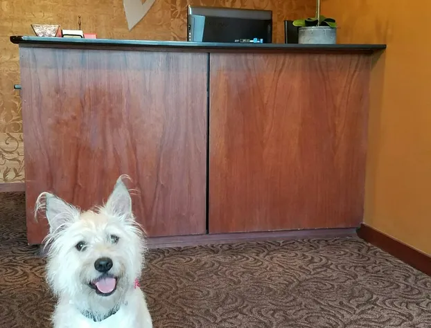 V Boutique Hotel hotel detail image 1