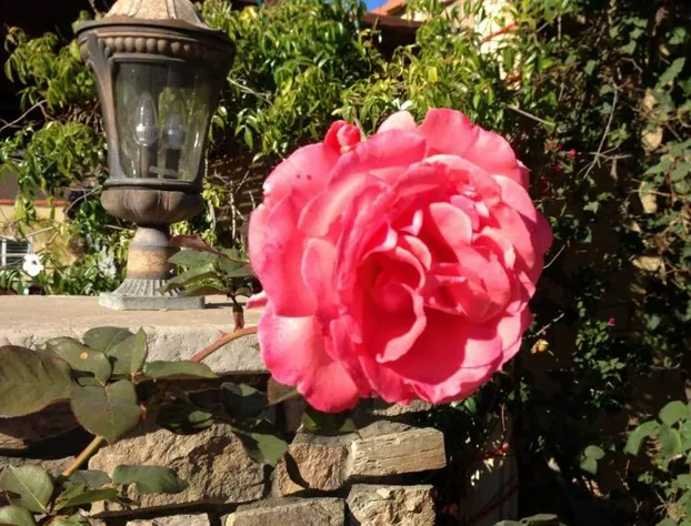 Leucadia Beach Inn hotel detail image 4