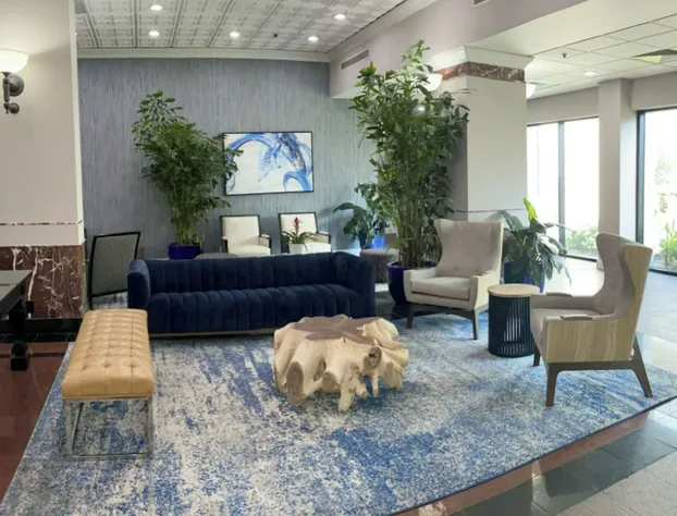 Wyndham Houston near NRG Park/Medical Center hotel detail image 2