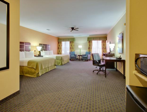 Holiday Inn Houston East - Channelview, an IHG Hotel hotel detail image 4