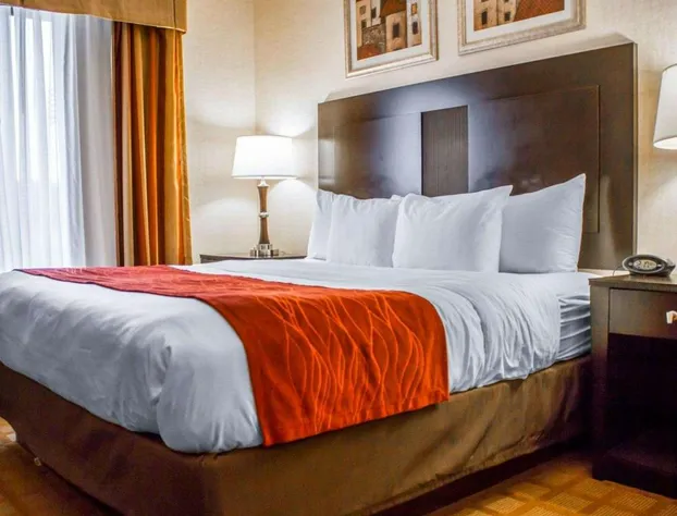 Comfort Suites Edinboro hotel detail image 4