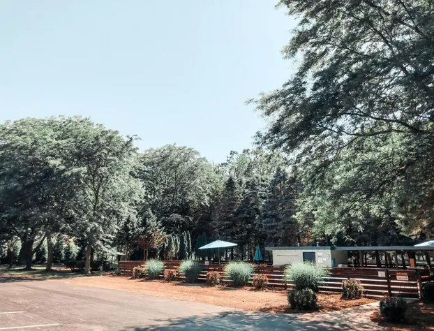 Starlite Resort hotel detail image 4